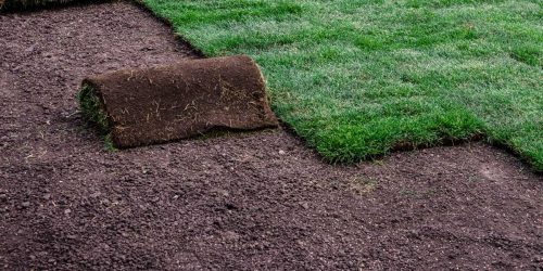 Sod Installation, Sod Installer, New Sod, Sod Company, Sod Contractor