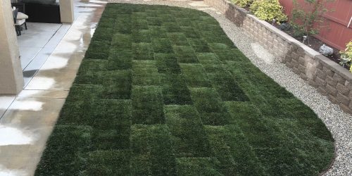 Sod Installation - Free Estimate