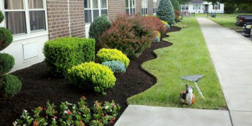 Landscaping, Landscaping Company, Landscaping Contractor, Landscaping Company