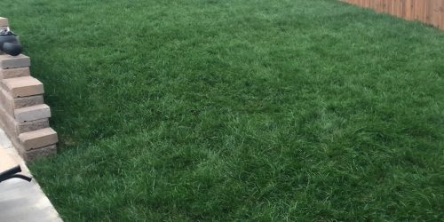 Sod Installation, Sod Installer, New Sod, Sod Company, Sod Contractor