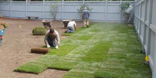 Sod Installation, Sod Installer, New Sod, Sod Company, Sod Contractor